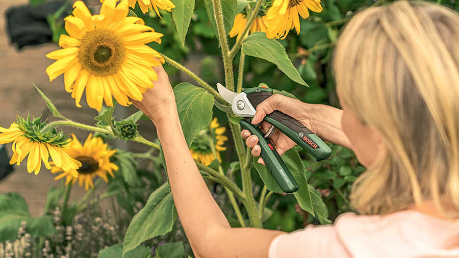 EasyPrune : un sécateur sans fil à assistance électrique pour une coupe sans effort